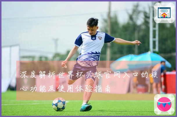 深度解析世界杯买球官网入口的核心功能及使用体验指南