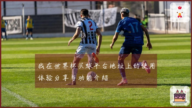 我在世界杯买球平台地址上的使用体验分享与功能介绍