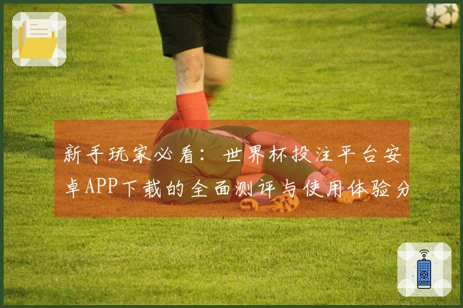 新手玩家必看：世界杯投注平台安卓APP下载的全面测评与使用体验分享