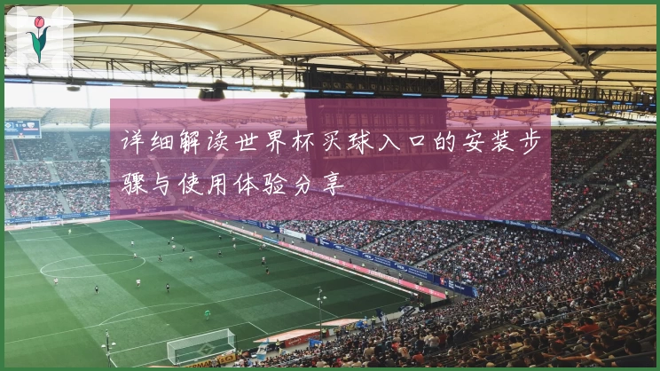 详细解读世界杯买球入口的安装步骤与使用体验分享