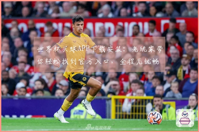 世界杯买球APP下载安装：老玩家带你轻松找到官方入口，全程无忧畅享赛事直播
