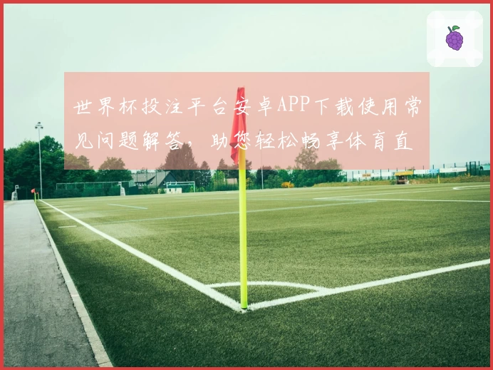 世界杯投注平台安卓APP下载使用常见问题解答，助您轻松畅享体育直播体验