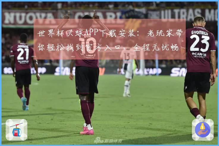 世界杯买球APP下载安装：老玩家带你轻松找到官方入口，全程无忧畅享赛事直播