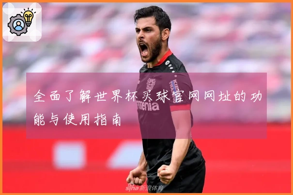 全面了解世界杯买球官网网址的功能与使用指南
