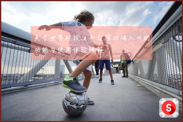 关于世界杯投注平台移动端入口的功能与使用体验详解