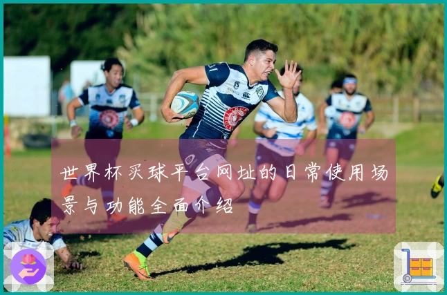 世界杯买球平台网址的日常使用场景与功能全面介绍