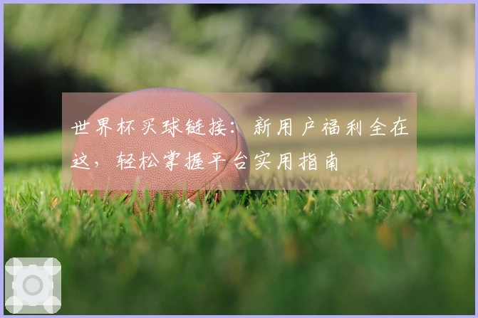 世界杯买球链接：新用户福利全在这，轻松掌握平台实用指南